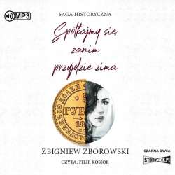 Spotkajmy się, zanim przyjdzie zima audiobook - 1