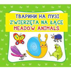 Zwierzęta na łące. Meadow animals