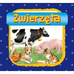 Zwierzęta