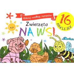 Zwierzęta na wsi. Koloruj według numerów