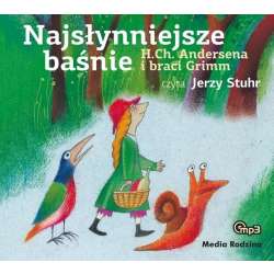 Najsłynniejsze baśnie. Audiobook