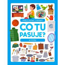 Co tu pasuje? Naklejkowe zabawy. W domu