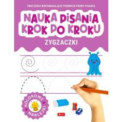 Nauka pisania krok po kroku. Zygzaczki - 1