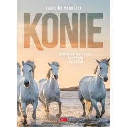 Konie