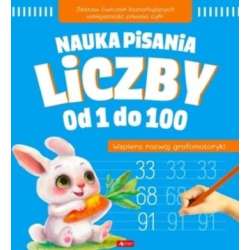 Nauka pisania. Liczby od 1 do 100