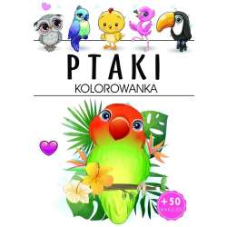 Ptaki - kolorowanka - 1