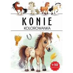 Kolorowanka. Konie