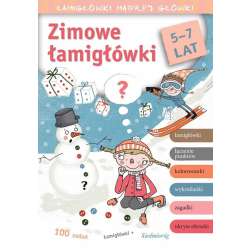 Zimowe łamigłówki. Łamigłówki mądrej główki