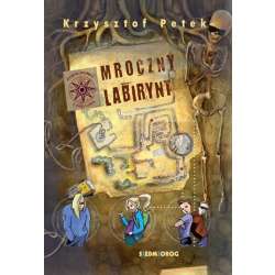 Mroczny labirynt