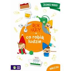 Książka Rok bez nudy. Co robią ludzie Zielona Sowa (9788382990539)