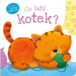 Książka Co lubi kotek? Zielona Sowa (9788382991888)