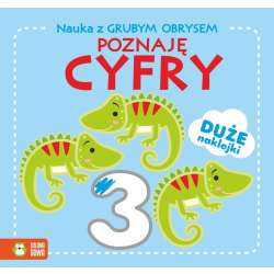 Nauka z grubym obrysem. Poznaję cyfry (9788382993561)