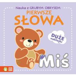 Nauka z grubym obrysem. Pierwsze słowa (9788382993578)