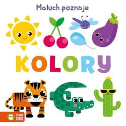 Książeczka Maluch poznaje. Kolory (9788382994063) - 1