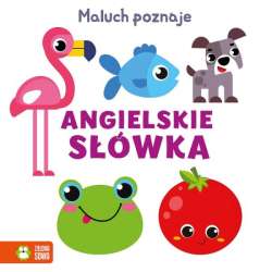 Książeczka Maluch poznaje. Angielskie słówka (9788382994070)