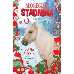Książeczka Słoneczna stadnina. Tom 7. Sandra i (9788382997897) - 1