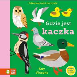 Gdzie jest kaczka