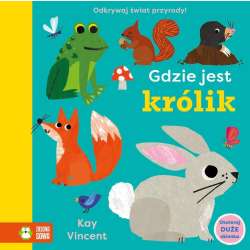 Gdzie jest królik