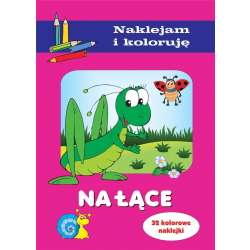 Na łące. Naklejam i koloruję