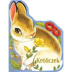 Króliczek