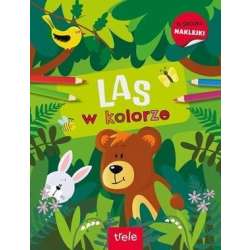 W kolorze. Las - 1