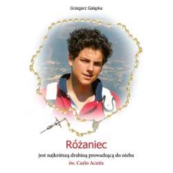 Różaniec jest najkrótszą drabiną prowadzącą..