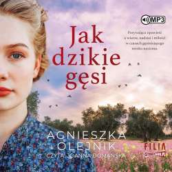 Jak dzikie gęsi audiobook