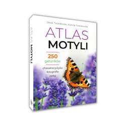 Atlas motyli - 1