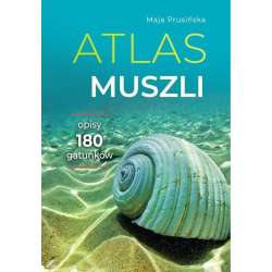 Atlas muszli. Opisy 180 gatunków