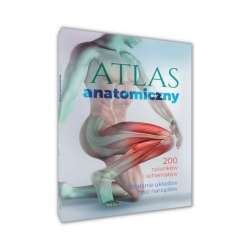 Atlas anatomiczny - 1