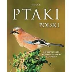 Ptaki Polski