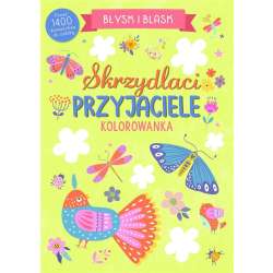 Błysk i blask. Skrzydlaci przyjaciele - 1