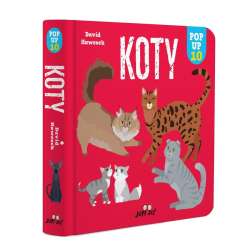 Koty. POP-UP 10