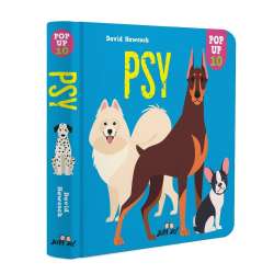 Psy pop-up - 1