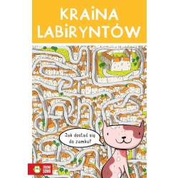Kraina labiryntów