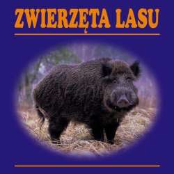 Zwierzęta lasu harmonijka - 1