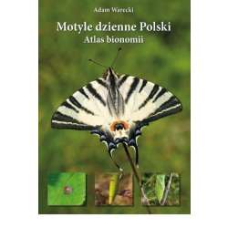 Motyle dzienne Polski. Atlas bionomii TW w.2021 - 1