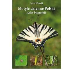 Motyle dzienne Polski. Atlas bionomii TW w.2021