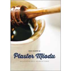 Plaster miodu. Audiobook