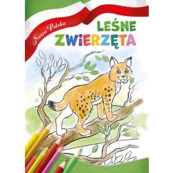 Nasza Polska. Leśne zwierzęta - 1