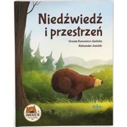 Niedźwiedź i przestrzeń - 1