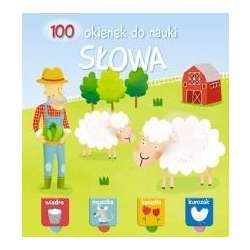 100 okienek 2 - Słowa