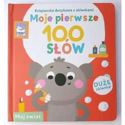 Książeczka dotykowa Moje pierwsze 100 słów. Świat