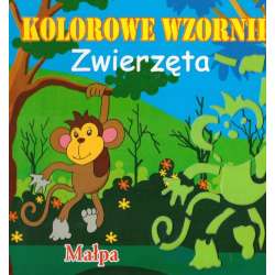 Książeczka kolorowe wzorniki animals
