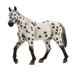 ANIMAL PLANET 7108 Ogier Appaloosa (GXP-532407) - 1