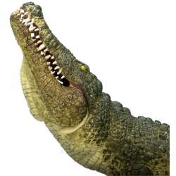 ANIMAL PLANET 7162 Krokodyl (ruchoma szczęka) rozm:XL - 4