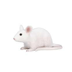 ANIMAL PLANET 7235 Mysz biała rozmiar:S - 1
