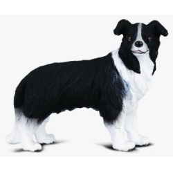 COLLECTA 88010 PIES BORDER COLLIE rozmiar:M (004-88010) - 1