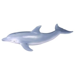 COLLECTA 88042 DELFIN BUTLONOSY rozmiar:M (004-88042) - 1