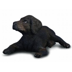 COLLECTA 88077 PIES LABRADOR SZCZENIAK ROZMIAR:S (004-88077) - 1